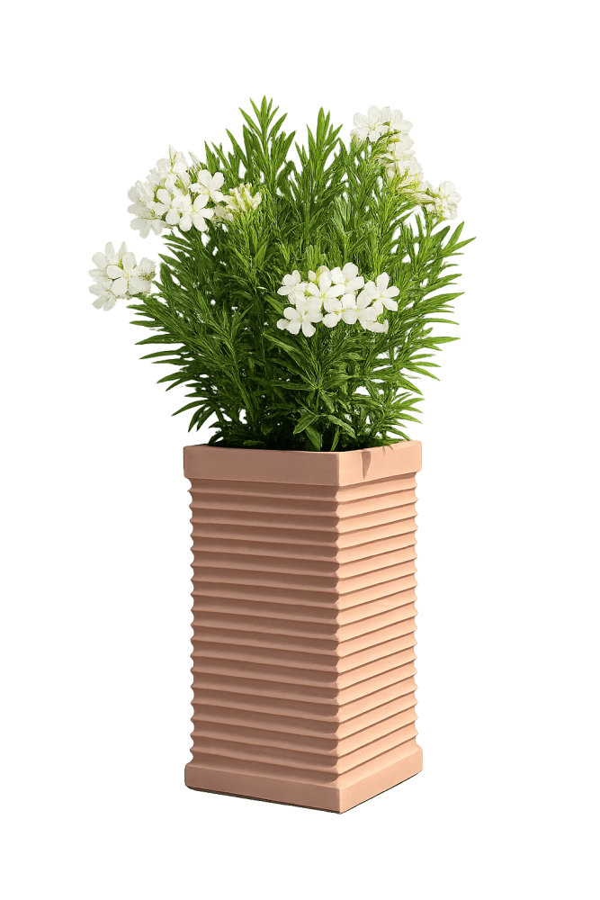 Bac à fleurs en terre cuite d’Impruneta – design moderne et qualité premium